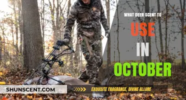 Best Deer Scents for October Hunts: Attracting Bucks Effectively