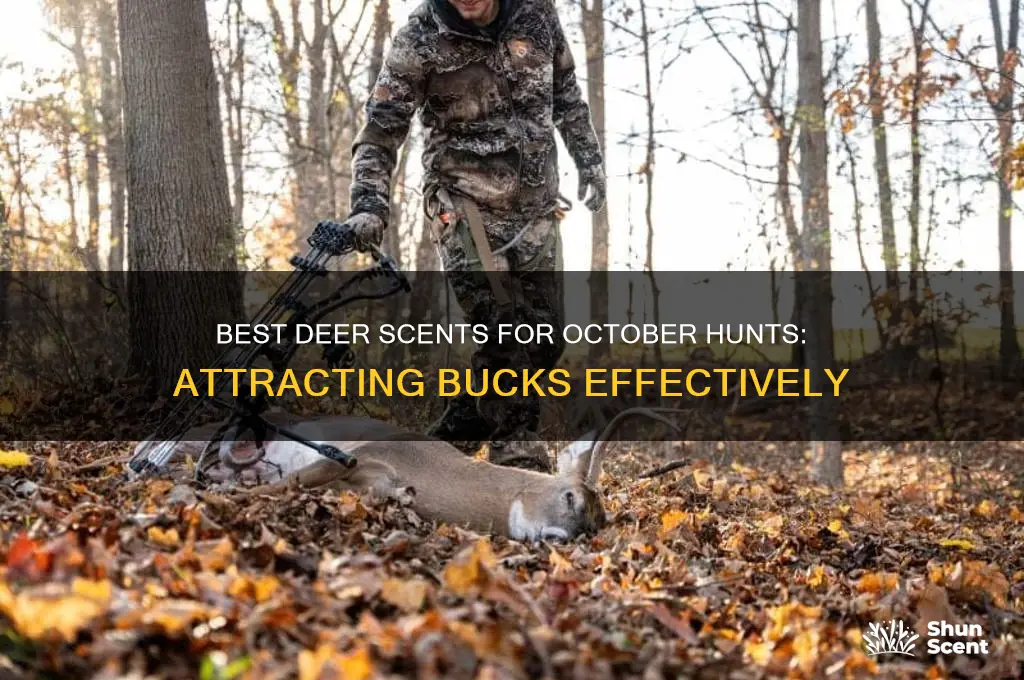 what deer scent to use in october