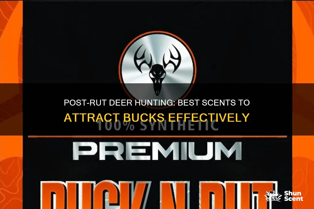 what deer scent to use post rut