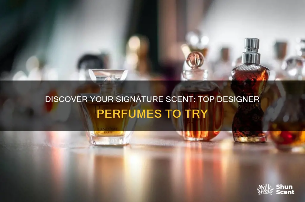 what designer perfume should i get