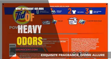 Freshen Up: The Ultimate Guide to Detergents That Tackle Heavy Odors