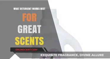 Discover the Best Scented Detergents for Fresh, Long-Lasting Laundry