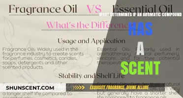 Aromatic Compounds: Unraveling the Science Behind Their Scents
