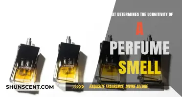 The Science Behind Long-Lasting Fragrances