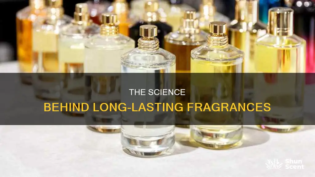 what determines the longitivity of a perfume smell