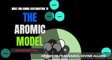 Bohr's Atomic Model: A Revolutionary Contribution