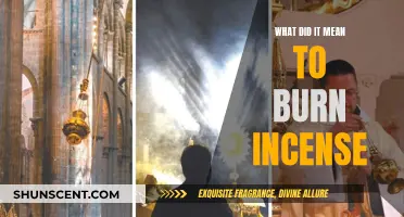 Incense Burning: Ancient Rituals and Their Meanings Explored