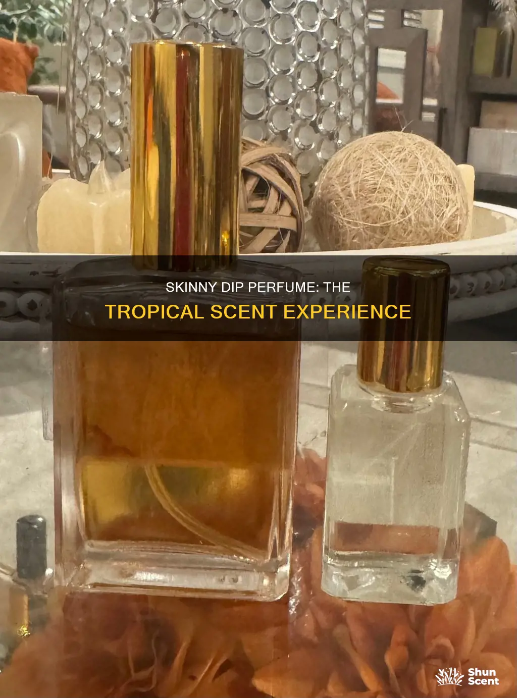 what did skinny dip perfume smell like