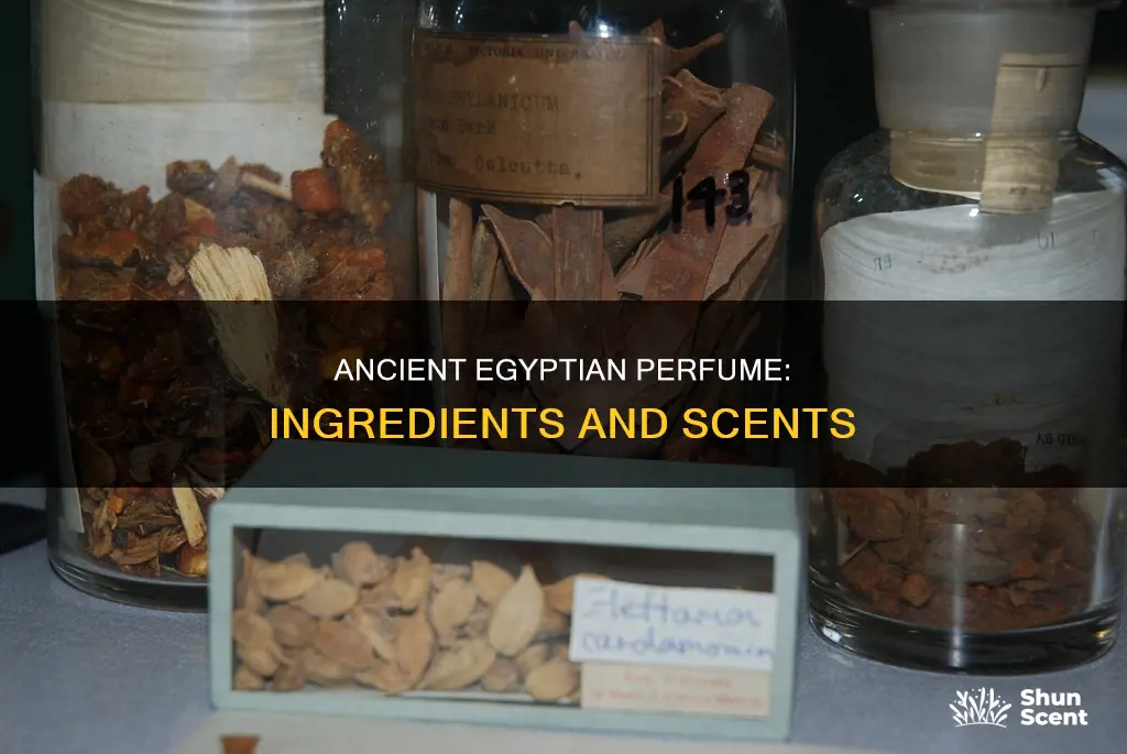 what did the egyptians make perfume out of