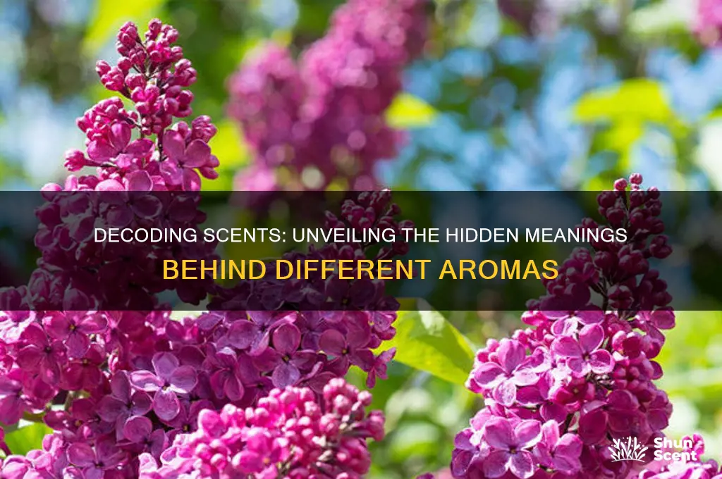 what different scents mean