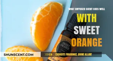 Sweet Orange Scent Pairings: Best Diffused Aromas to Complement Citrus Bliss