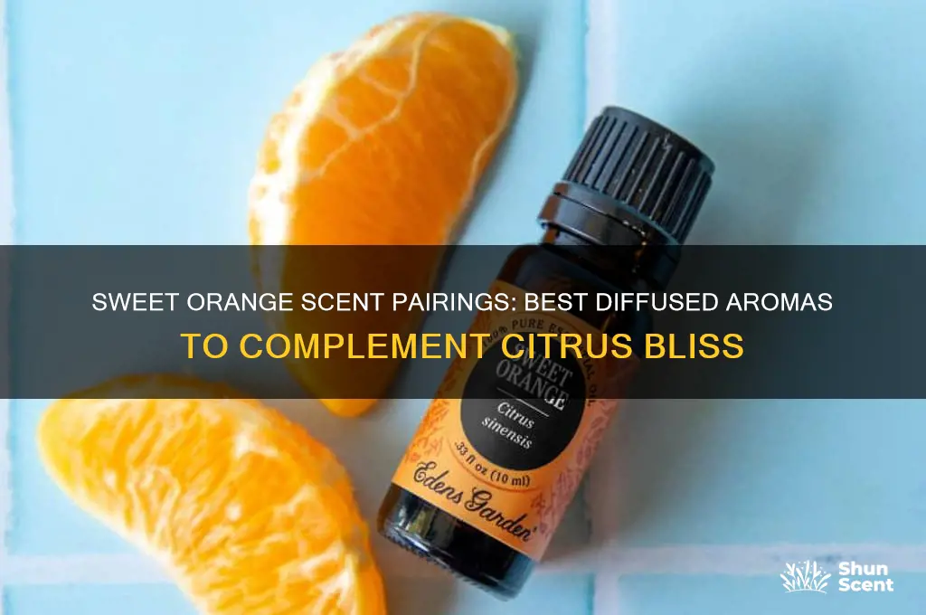 what diffused scent goes well with sweet orange