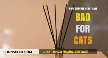 Avoid These Diffuser Scents: Protecting Your Cat's Health and Safety