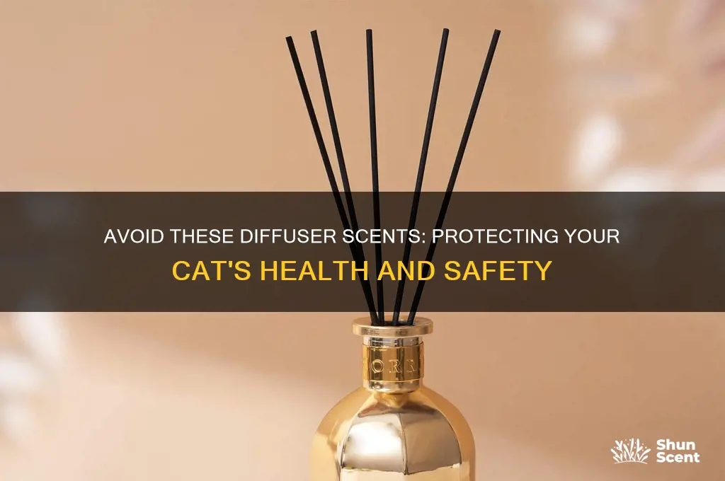 what diffuser scents are bad for cats