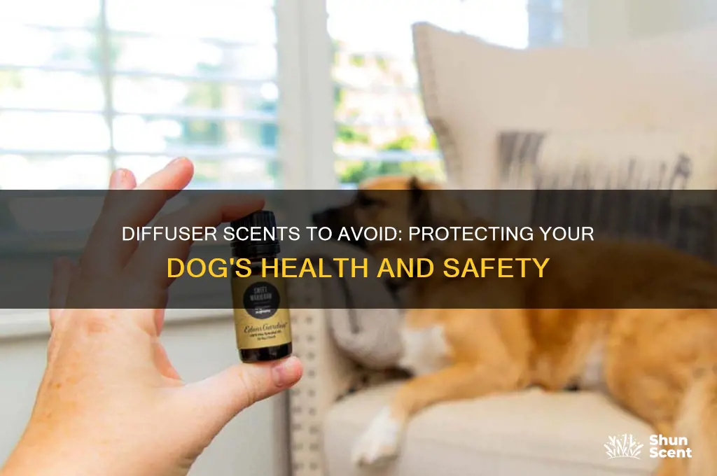 what diffuser scents are bad for dogs