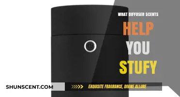 Boost Focus and Productivity: Top Diffuser Scents for Effective Studying