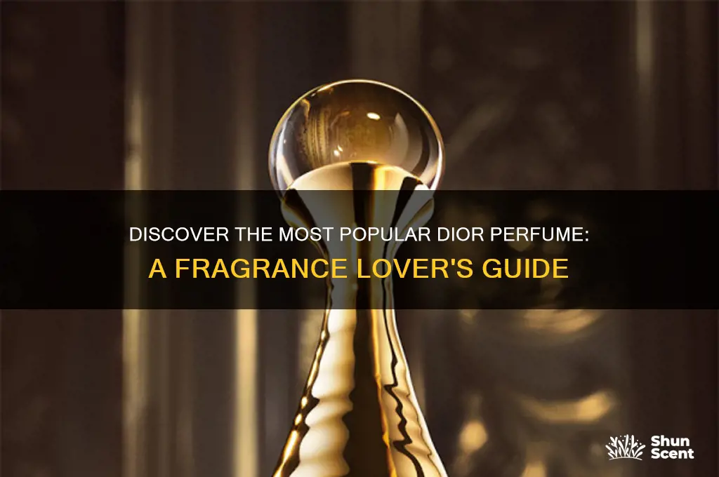 what dior perfume is most popular