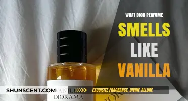 Vanilla Dreams: Dior's Sensual Fragrances
