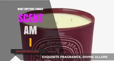 Discover Your Perfect Diptyque Candle Scent: A Personalized Guide