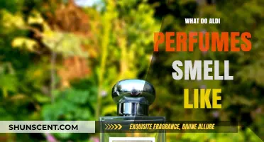 Aldi Perfume Scents: What to Expect