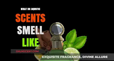 Exploring the Unique Aromas of Aquatic Scents: A Deep Dive