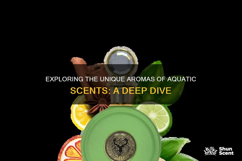 what do aquatic scents smell like