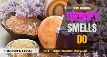 Aromatherapy Scents: Their Impact and Benefits Explained