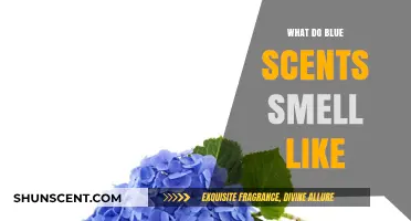 Exploring the Mystical Aromas of Blue Scents: What Do They Smell Like?