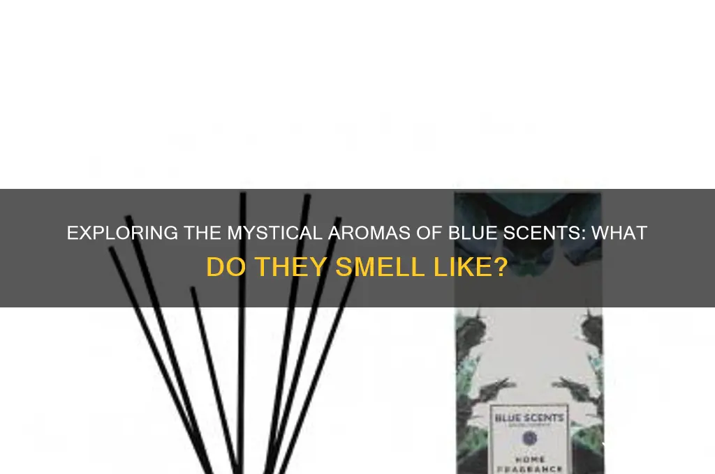 what do blue scents smell like