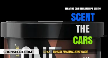 Unveiling the Secret Scents: What Car Dealerships Use to Freshen Vehicles