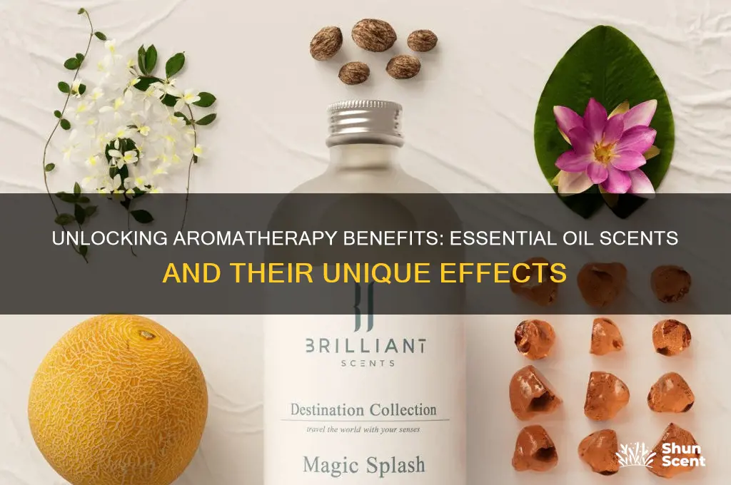 what do different essential oil scents do