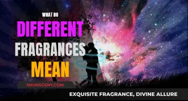 Unraveling the Language of Scents: A Guide to Fragrance Meanings