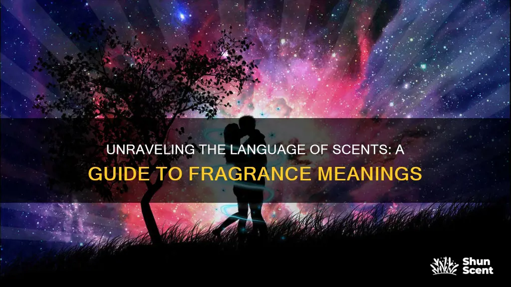 what do different fragrances mean