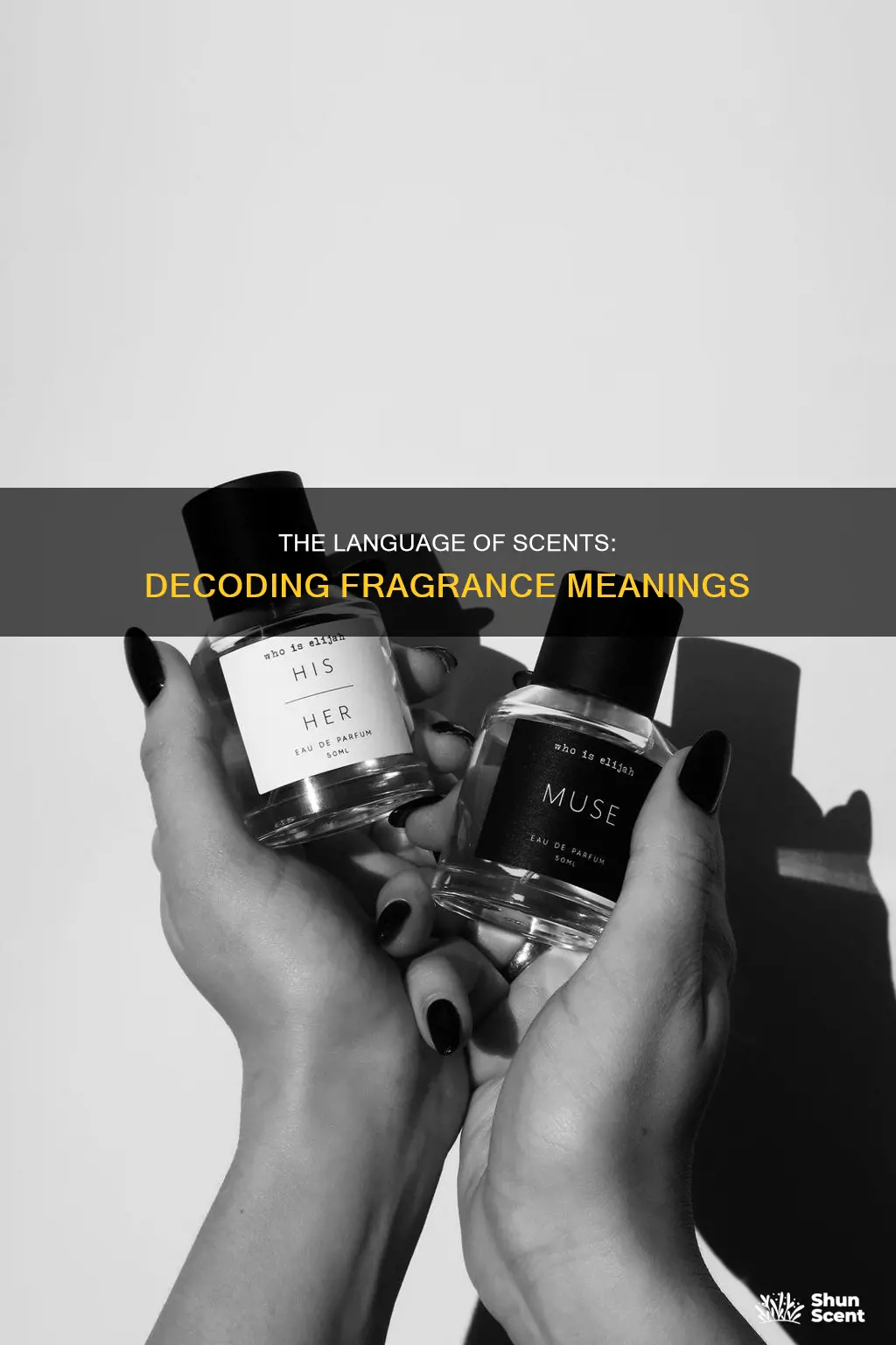 what do different fragrances mean