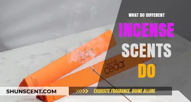Exploring Incense Scents: Aromatic Benefits and Their Unique Effects