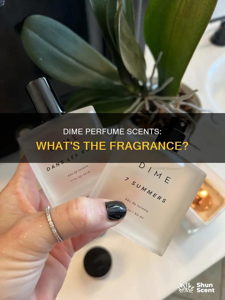what do dime perfumes smell like