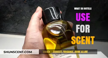 Unveiling the Secret: What Scent Do Hotels Use for Ambiance?