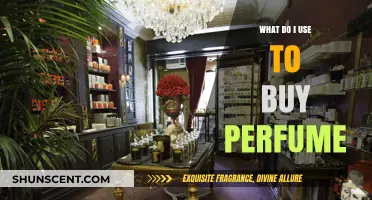 The Art of Choosing a Perfume