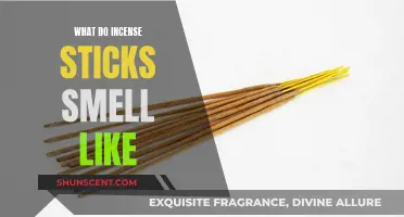 Incense Sticks: Fragrance, Aroma, and Scent Explained