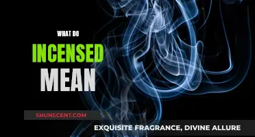 Incensed: Understanding the True Meaning of This Angry Word