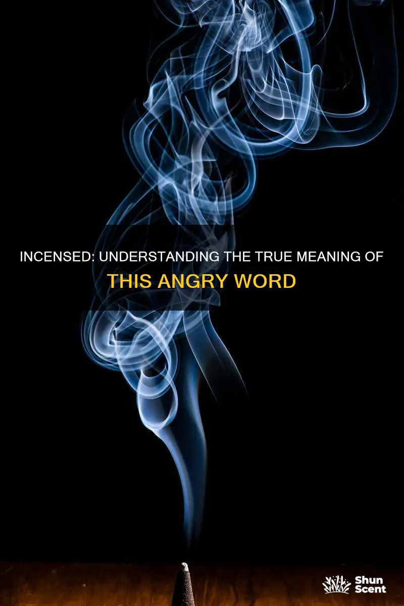 what do incensed mean