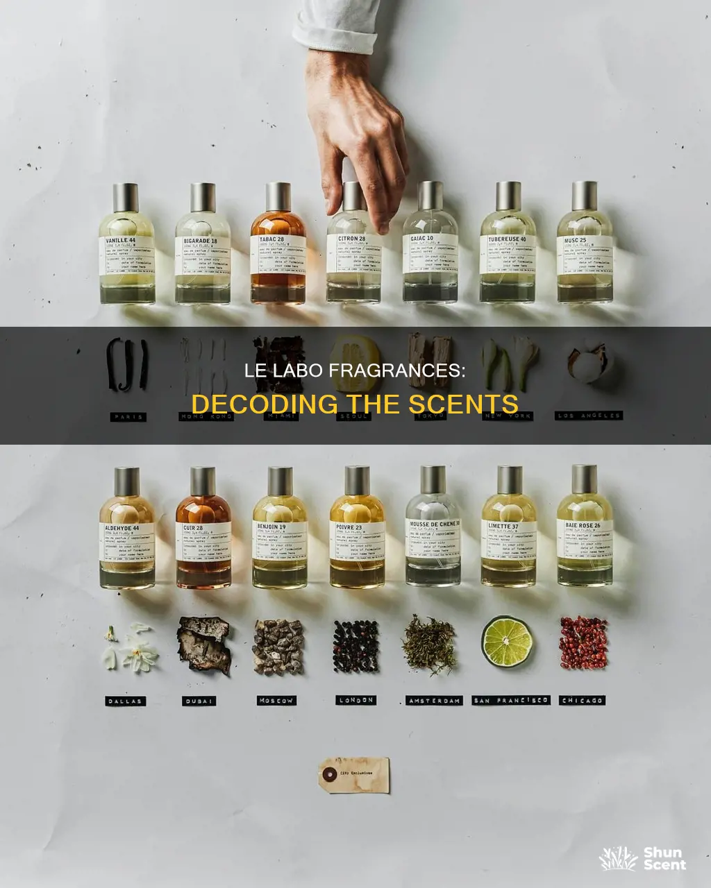 what do le labo fragrances smell like
