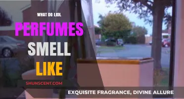 Lidl Perfume Scents: A Review