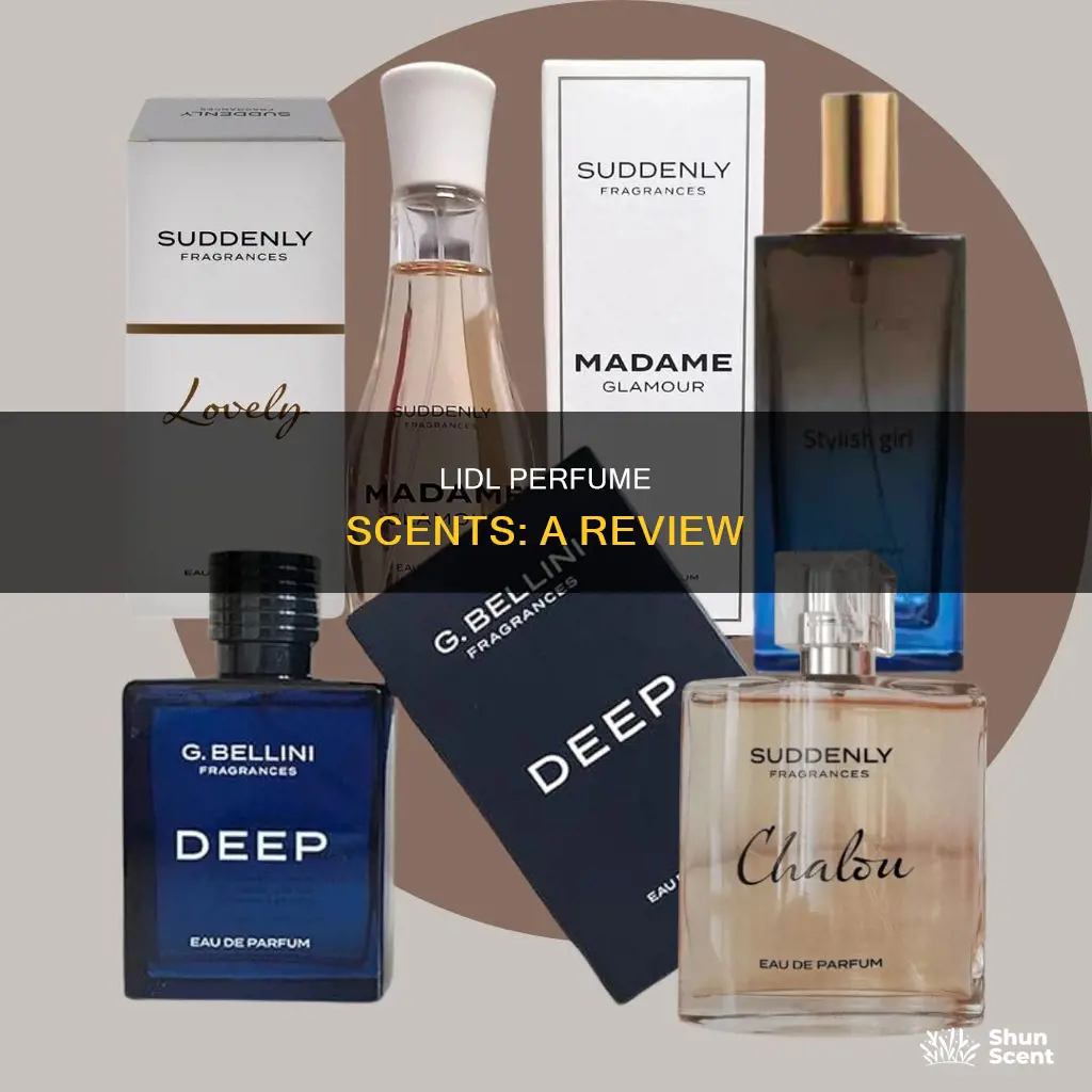 what do lidl perfumes smell like