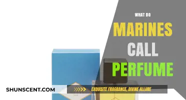 What Marines Call Perfume: Unveiling the Scent of the Corps