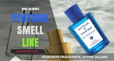 The Aromatic World of Men's Fragrances