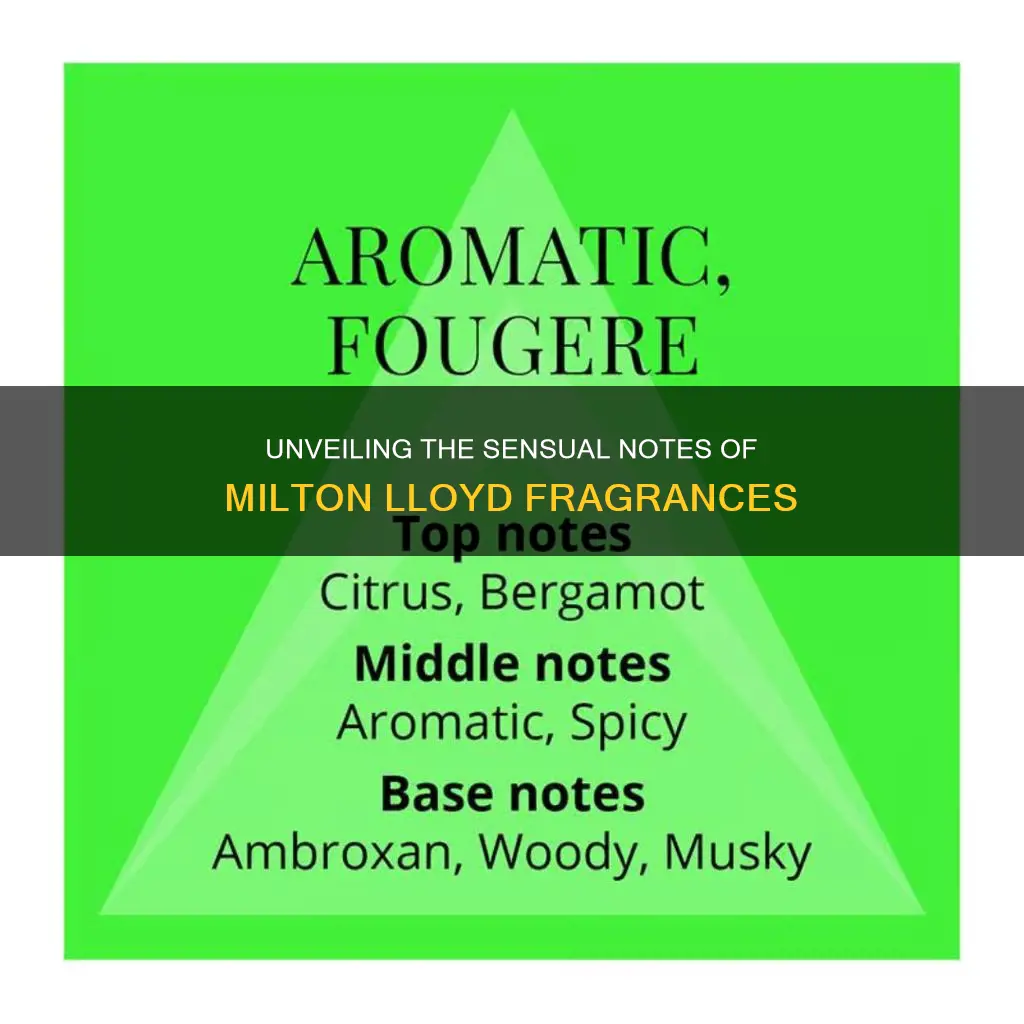 what do milton lloyd fragrances smell like