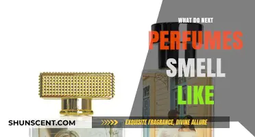 Explore Next Perfumes: Scents and Aromas