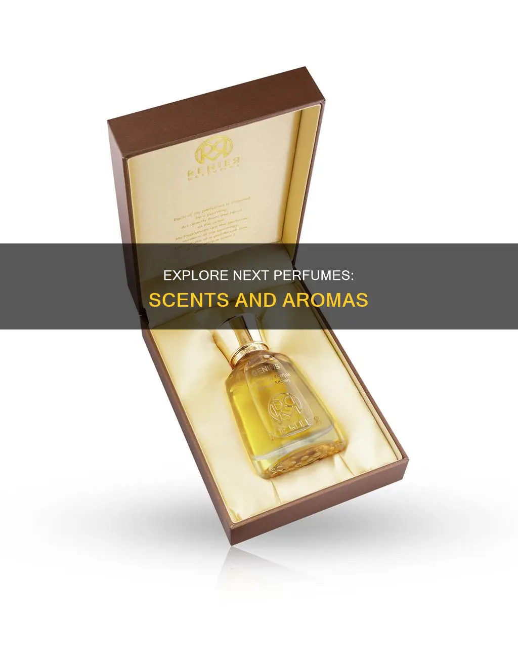 what do next perfumes smell like
