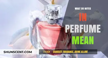 Decoding Perfume Notes: Understanding the Language of Fragrance Layers
